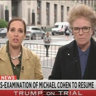 Michael Cohen's testimony gets brutal reviews as he takes stand again: ‘Fabricator, liar or forgetful person’