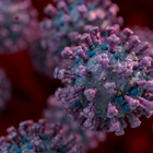 Physicist Studying SARS-CoV-2 Virus Believes He Has Found Hints We Are Living In A Simulation