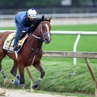Preakness 2024 live updates: How to watch, start time, best horses to bet