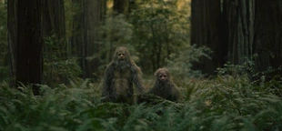 'Sasquatch Sunset' spoilers! Bigfoot movie makers explain the super-weird film's ending