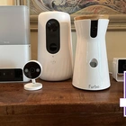 The best pet cameras in 2024, tried and tested