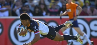 Status quo for the leading four teams in Super Rugby Pacific after 11 rounds