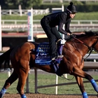 Preakness Stakes favorite and Bob Baffert-trained horse ruled out after spiking a fever