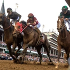 Meet the 8 horses racing in Saturday's Preakness Stakes