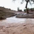 Uprooted trees, damaged houses after Kenya dam bursts following heavy rains
