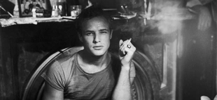 Marlon Brando thrived in Hollywood despite risqué photo, sexuality rumors: author