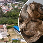 Dead bodies keep mummifying in this mountain town — and scientists are baffled
