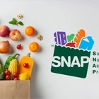 SNAP Food Stamps Payments Rolling Out: List of States to Expect Payment in the Final Week of May