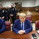 Rare Display in Court as Witness Called to Testify Against Trump Starts Smiling at Former President