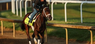 2024 Kentucky Derby guide: Date, location, time, TV channels, betting favorites and more