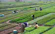 Cleric, Others Advocate Investment In Agric Development