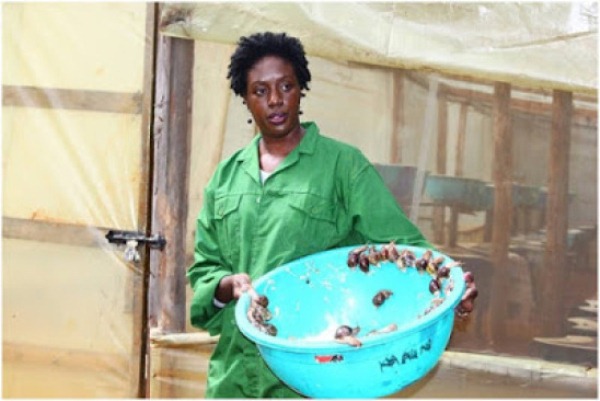 Raila&#39;s Daughter Hits Goldmine in Snail Farming Business
