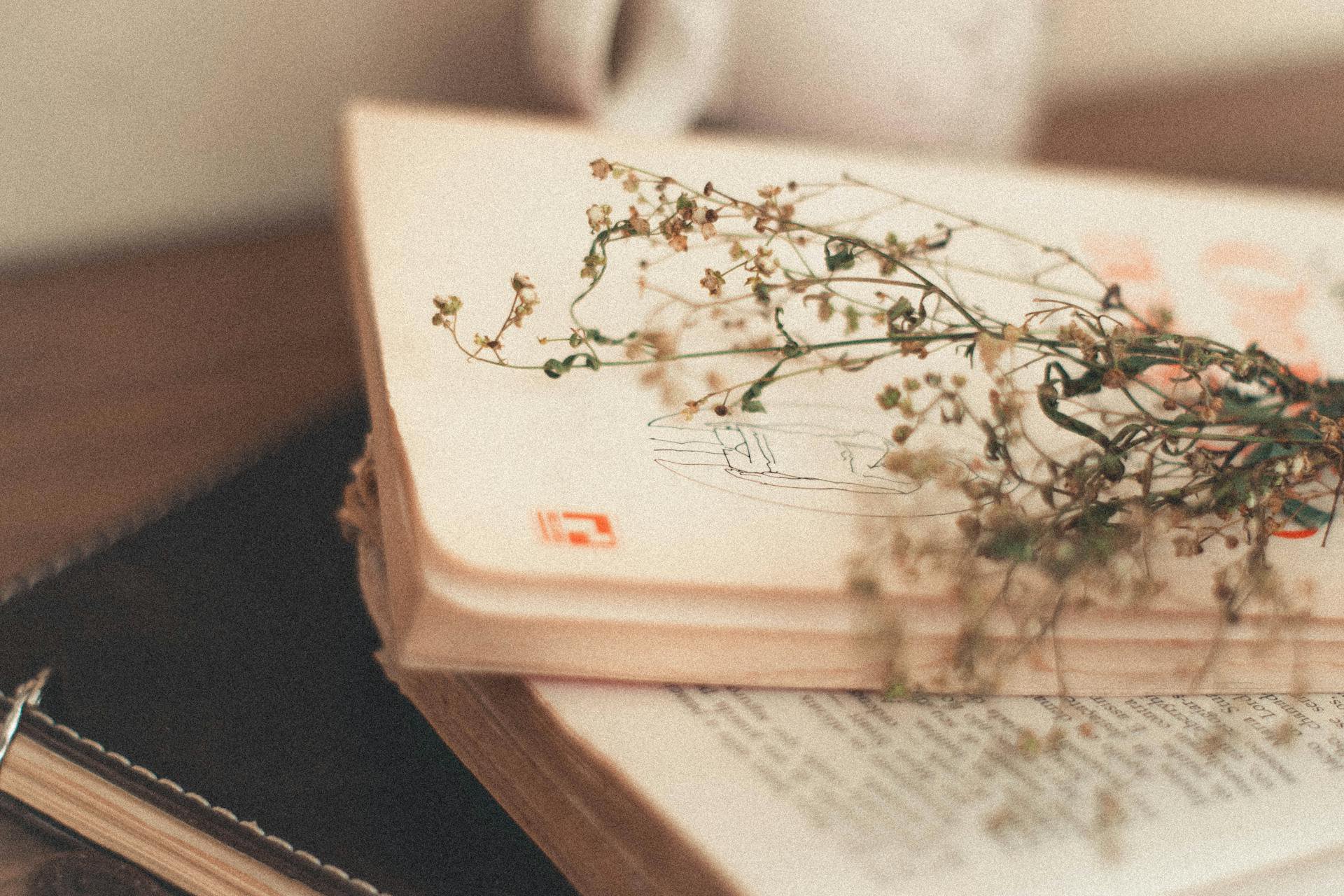A set of books | Source: Pexels