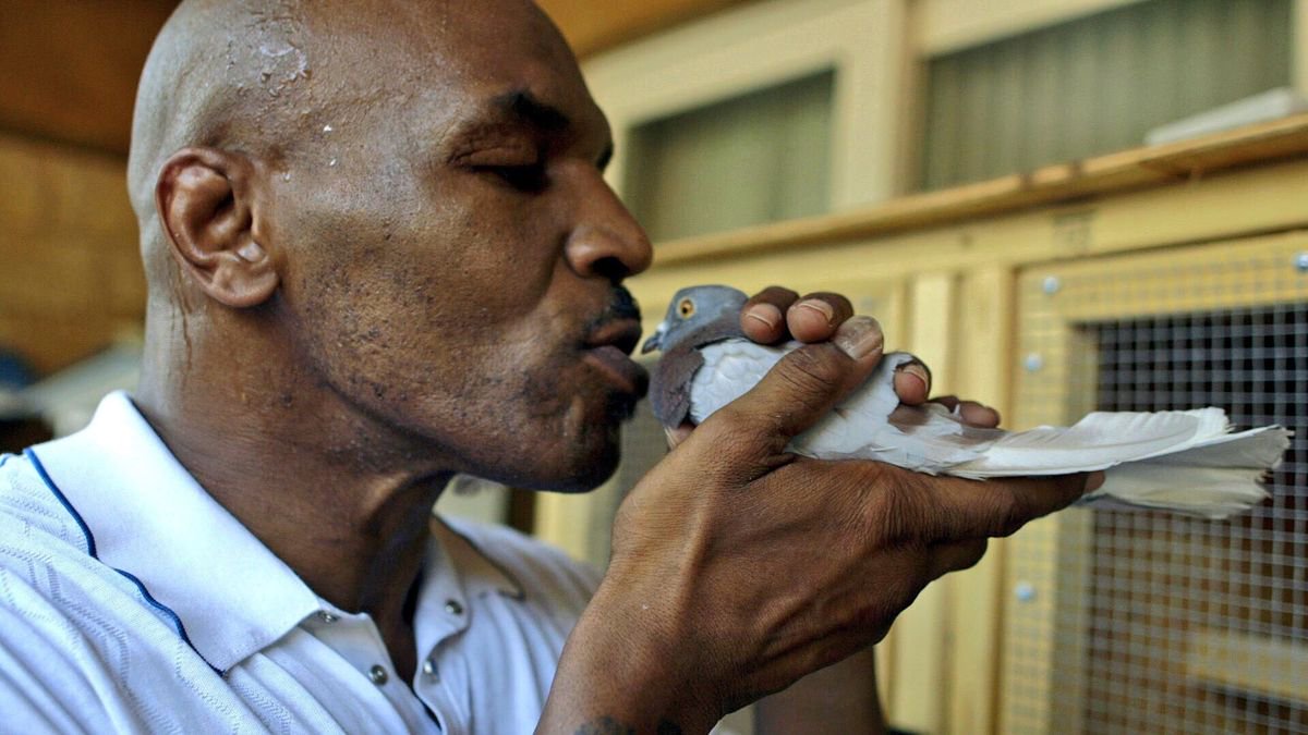 Former boxing legend Mike Tyson seen here with a pigeon
