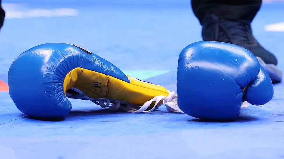 Boxing gloves