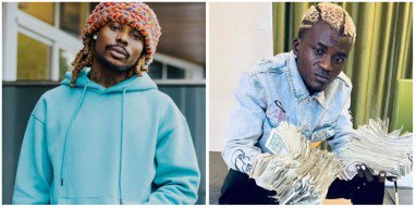 Digital Stores Distribution