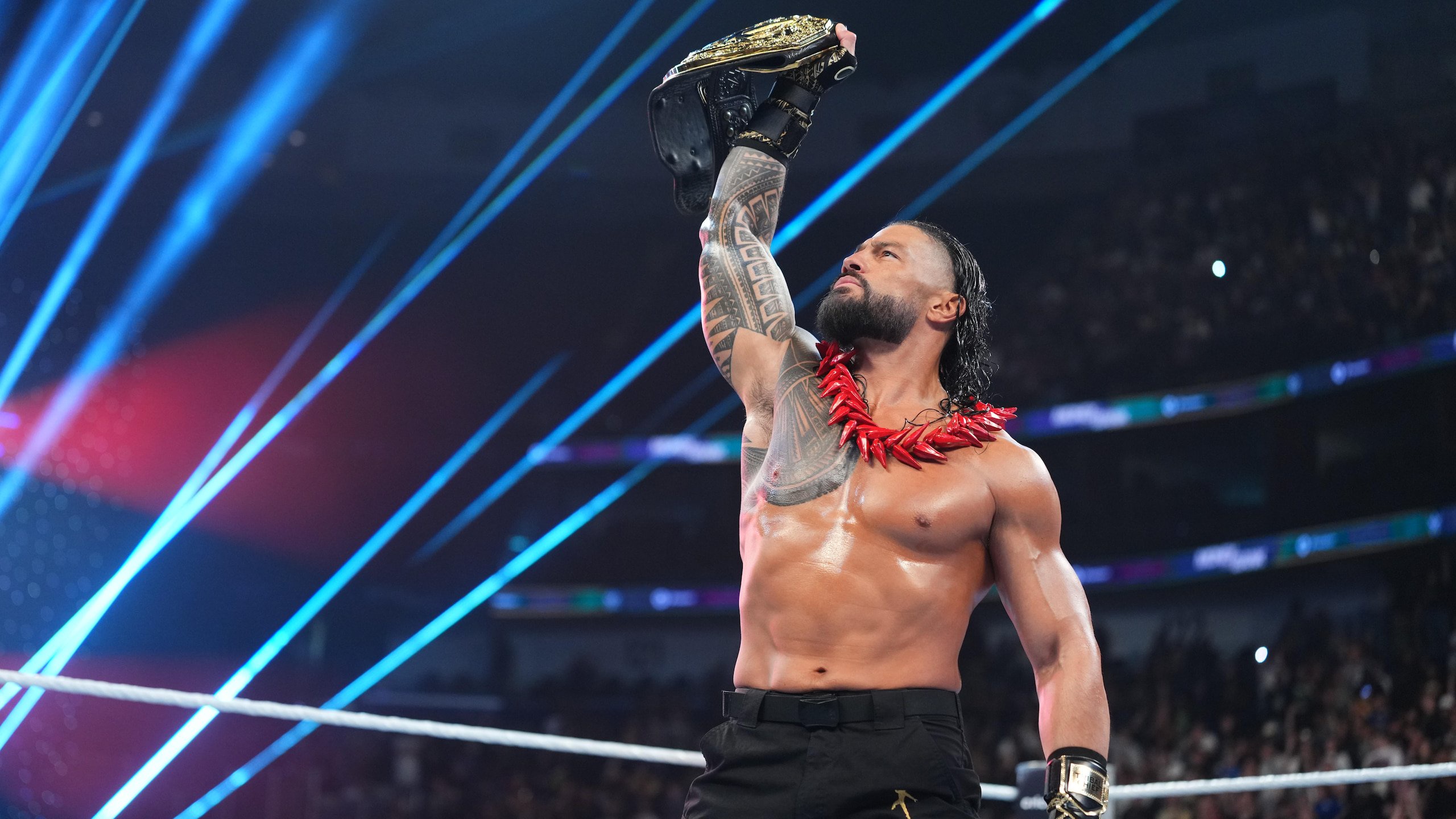 WWE: Money In The Bank