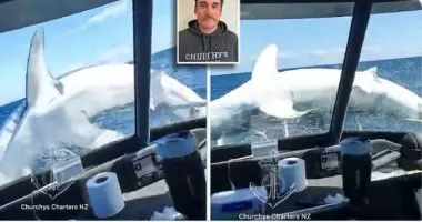 قرش يهاجم قارب 