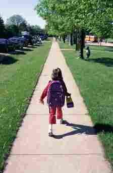 A young child walks down a sidewalk with a purple backpack and a lunchbox. Trees line the path on a sunny day with other kids and cars in the background