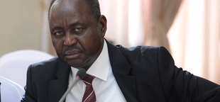 Arrest warrant issued for Central African Republic's former president over human rights abuses