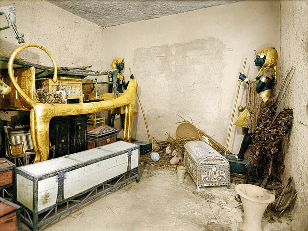 The study determined the cause was radiation poisoning from natural elements and toxic waste deliberately put inside the sealed vaults