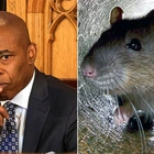NYC Mayor Eric Adams announces Urban Rat Summit to combat rodent crisis: 'I hate rats'