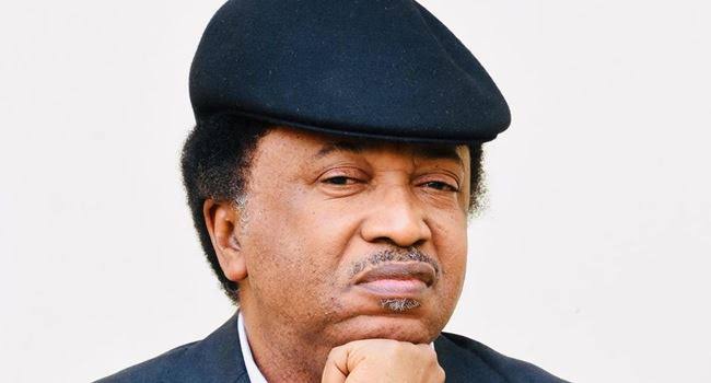 Sani Alleges Wike And Obi Relationship Is Like Being Nice To A Jilted Woman After Marrying Another.