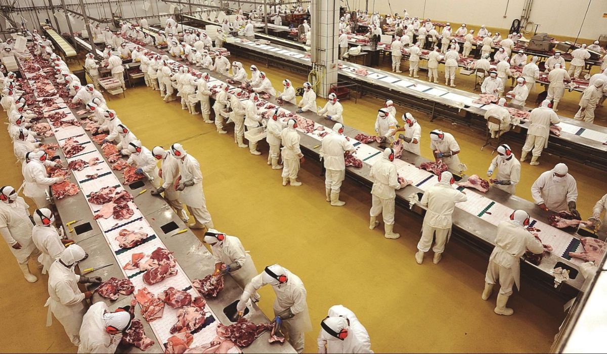Frimesa é uma das maiores empresas de carne suína do Brasil e emprega mais de 13 mil pessoas - Divulgação/Frimesa
