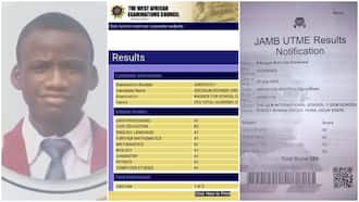 Nigerian kid scores 9 A1's in WAEX, gets 350 in JAMB, many praise him