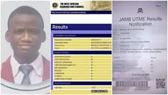 Nigerian kid scores 9 A1's in WAEX, gets 350 in JAMB, many praise him