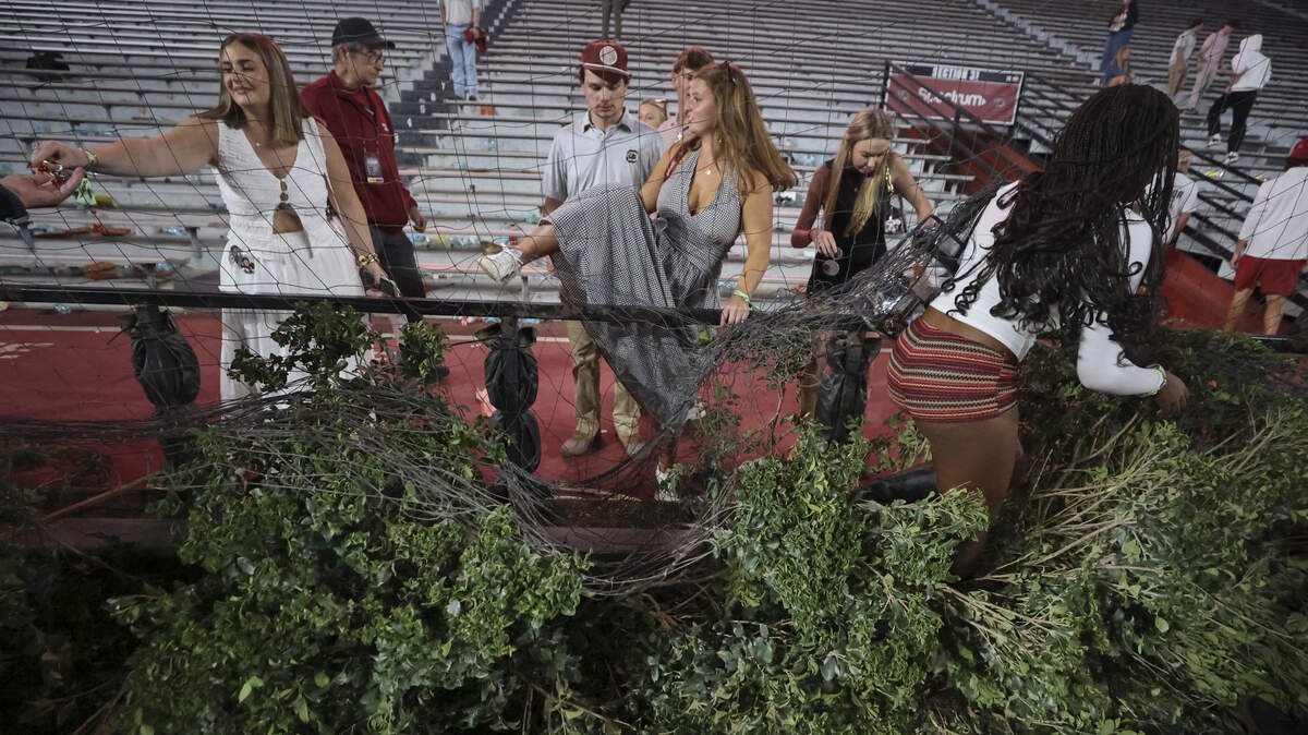 The hedges in the end zone suffer after Gamecock fans stormed the field after South Carolina beat Tennessee in the final seconds of their game at Williams-Brice Stadium in Columbia on Saturday, Oct. 24, 2026.