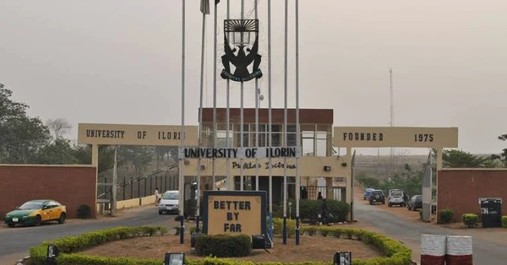 After Unilorin Started Releasing First Semester Results, See What 100level Girl Told Her Boyfriend