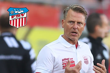 FSV will sich gegen Tasmania Berlin Sieg-Gefühl zurückholen: "Das Spiel ist aber kein Selbstläufer"