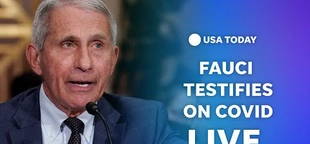 Anthony Fauci livestream: Watch former advisor testify to House over COVID-19 response