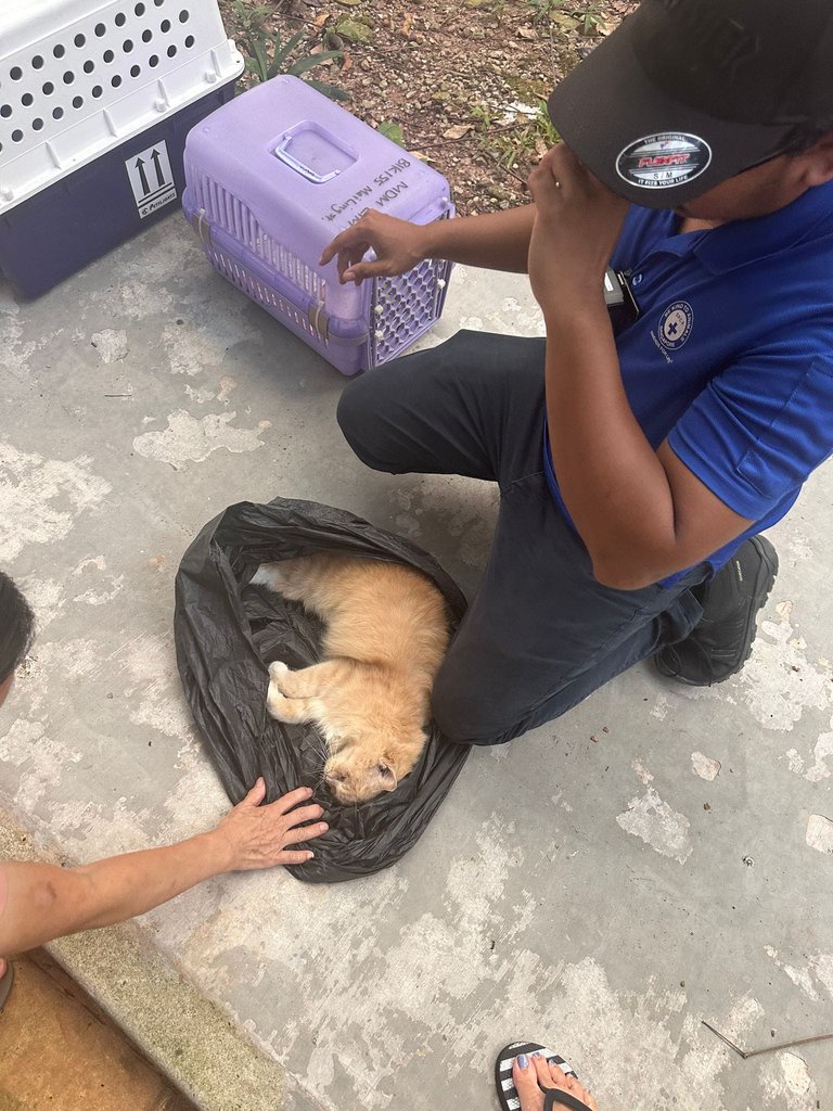 07bf479cc33db1857d1e0d7735aa635f