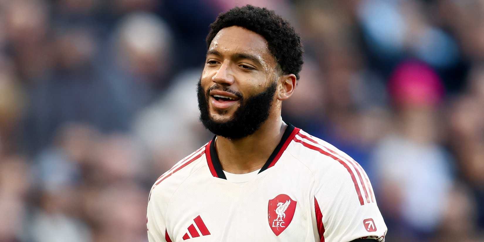 joe gomez