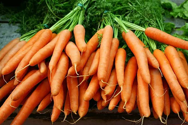 Foods That Boost Breast Milk Production