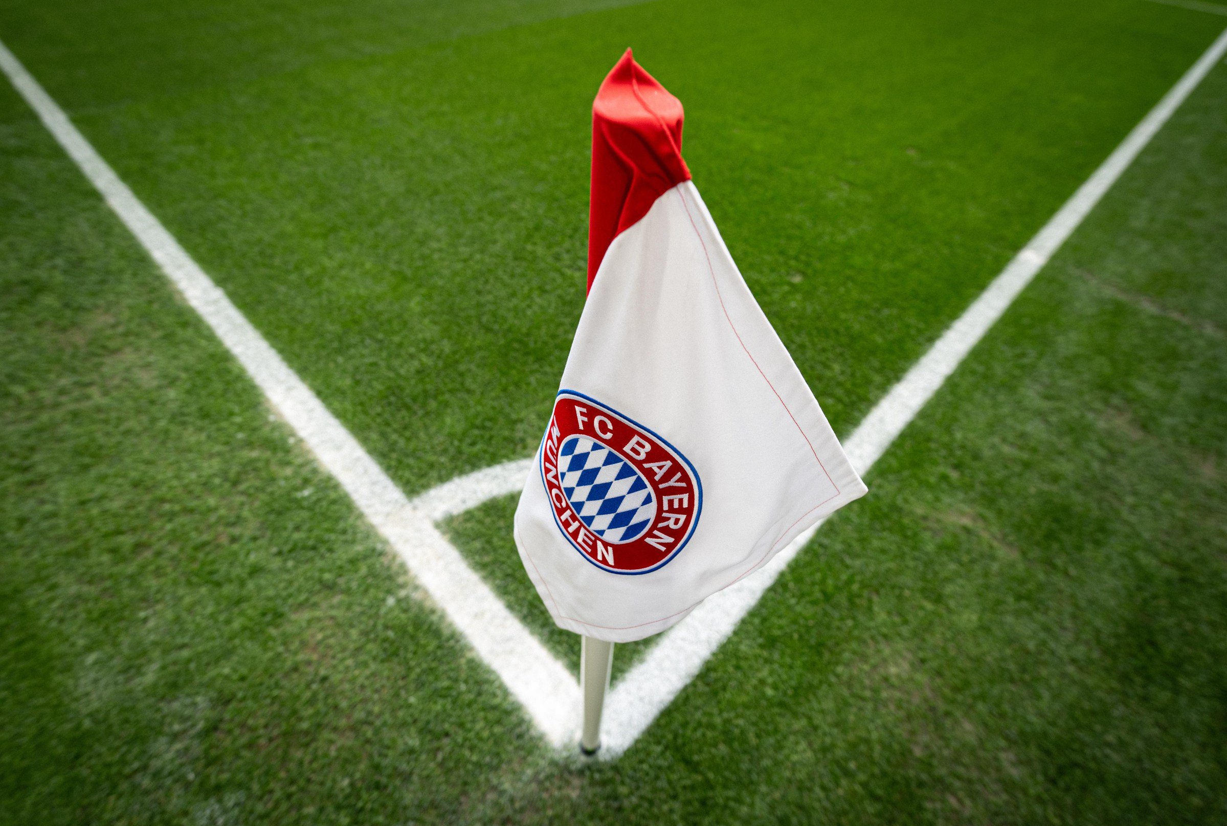FC Bayern München v 1. FC Köln - Bundesliga
