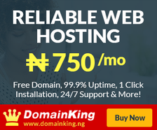 Reliable Web Hosting in Nigeria by DomainKing.NG