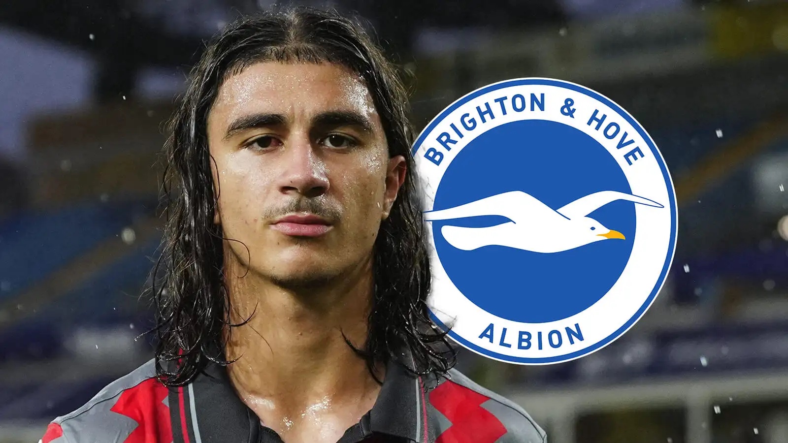 Adin Licina is on Brighton's radar