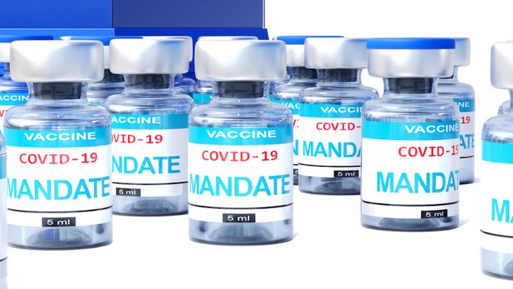The vaccine mandate task team announced by president Cyril Ramaphosa has a range of options to choose from.
