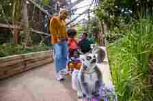 There's loads to do for all the family at London Zoo