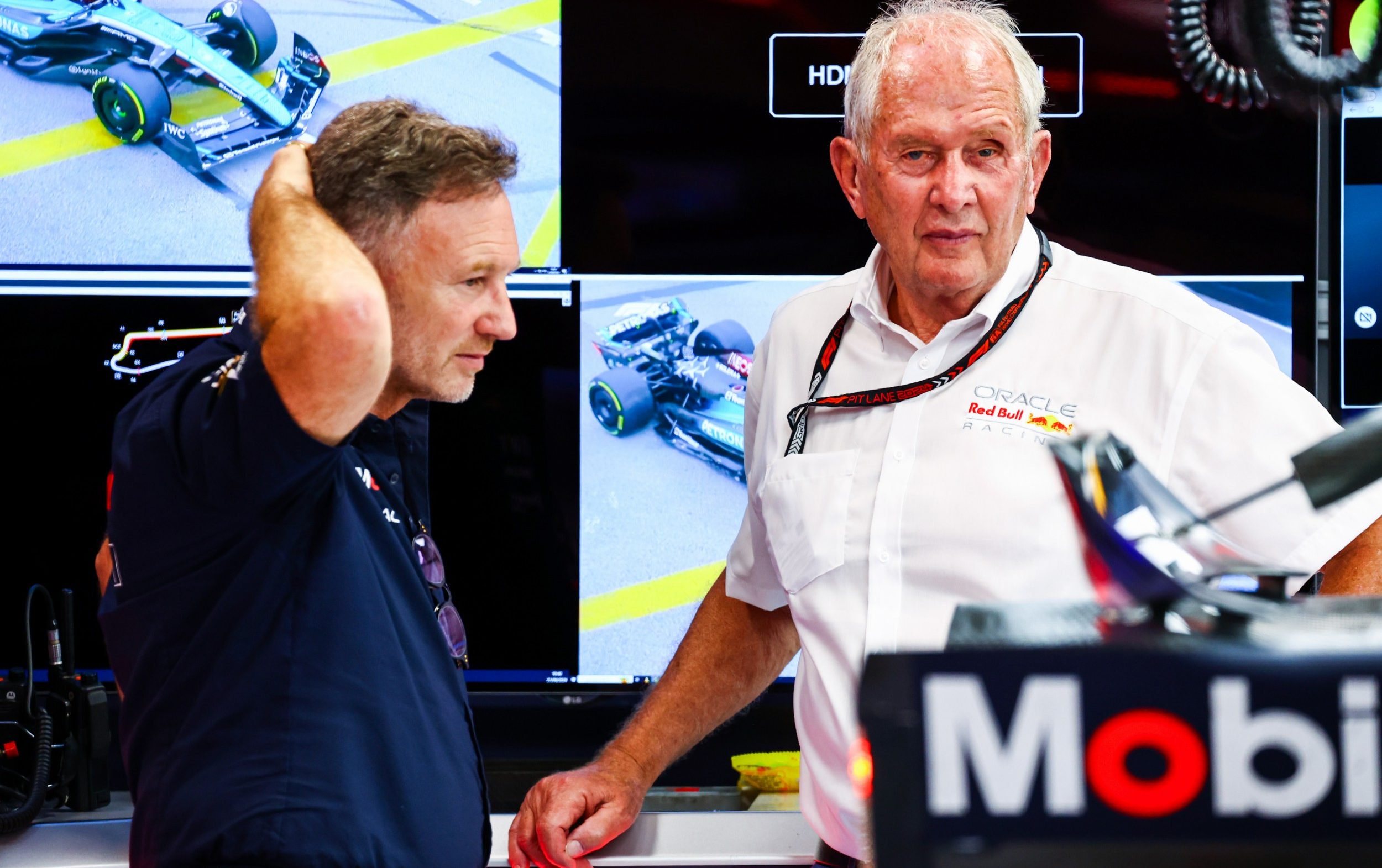 Horner and Helmut Marko
