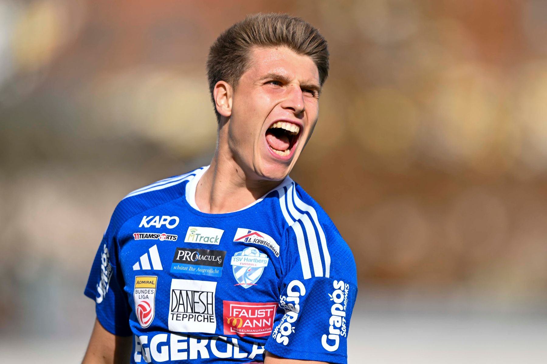 Hoffmann marco tsv hartberg vs austria lustenau gepa admiral