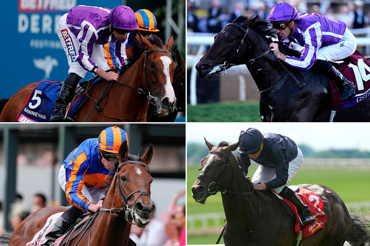 From top left (clockwise); Minnie Hauk, Gstaad, Lambourn and Constitution River: withdrawn from Breeders' Cup