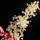 How was popcorn discovered? Archaeologist traces its history back to the Americas thousands of years ago