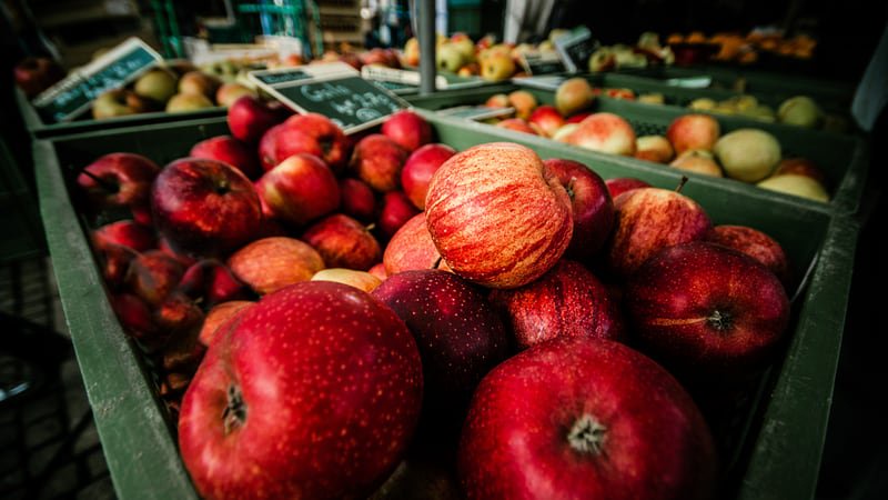 Ultimate Guide to Apple Picking in the Carolinas: Top Orchards To Visit