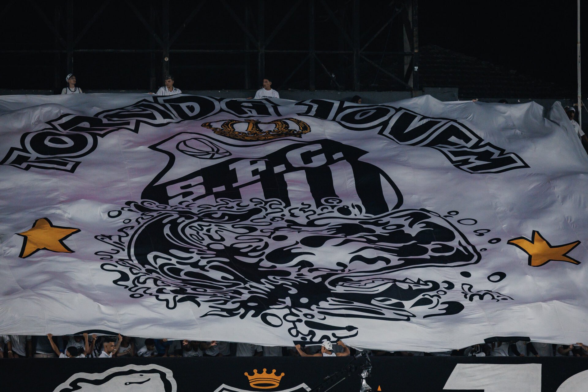 Torcida do Santos. Foto: Raul Baretta/ Santos FC.