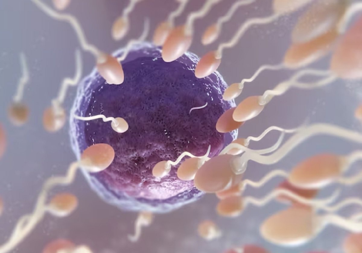 $detail['images_title']