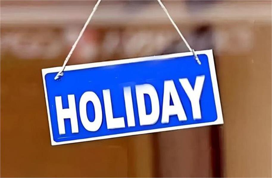 public holiday november 25 declared a holiday